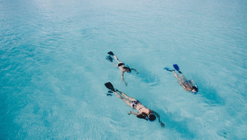snorkeling