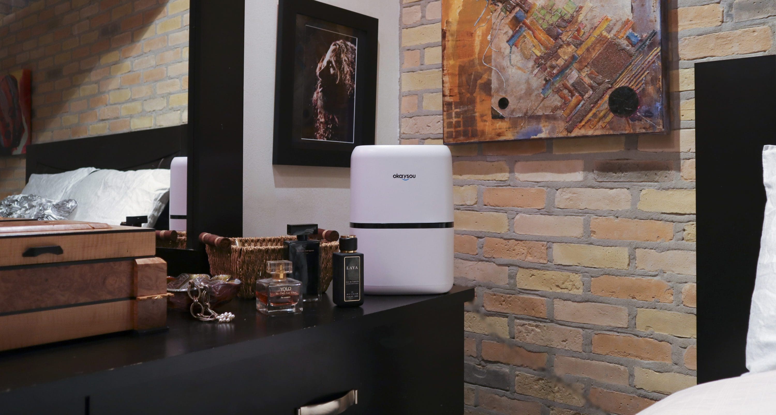 TESTED: Okaysou AirMic4s Air Purifer