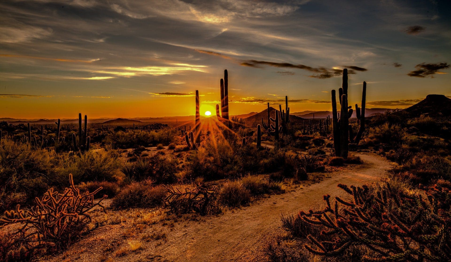 6 Things You Need To Bring On Your Arizona Road Trip