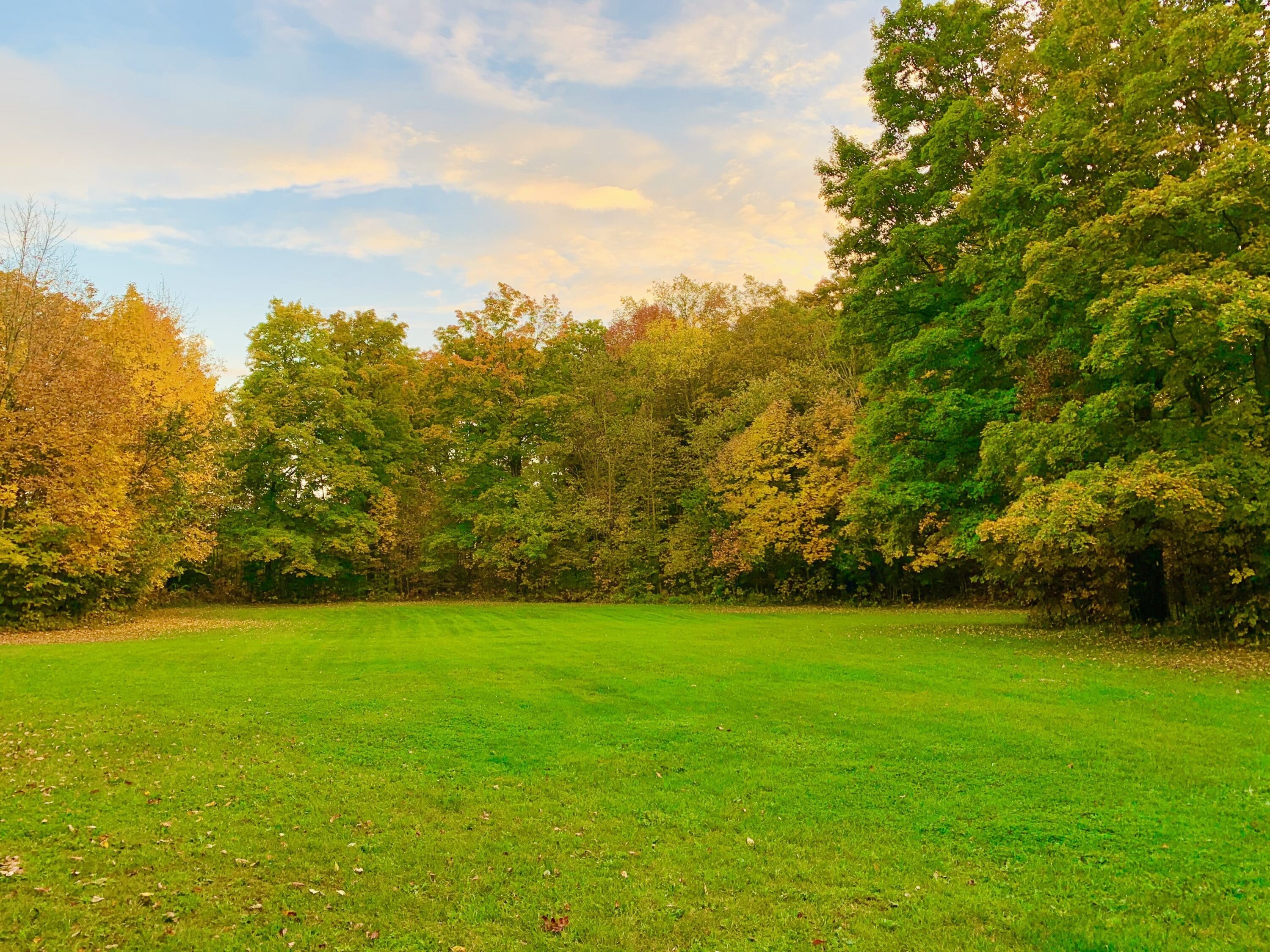 Fall Colours In Ontario
