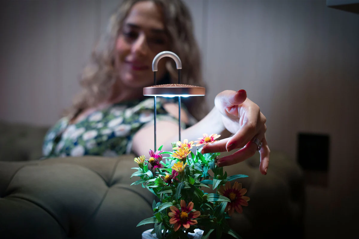 Bringing Nature Indoors: A Comprehensive Look at the HydroVase