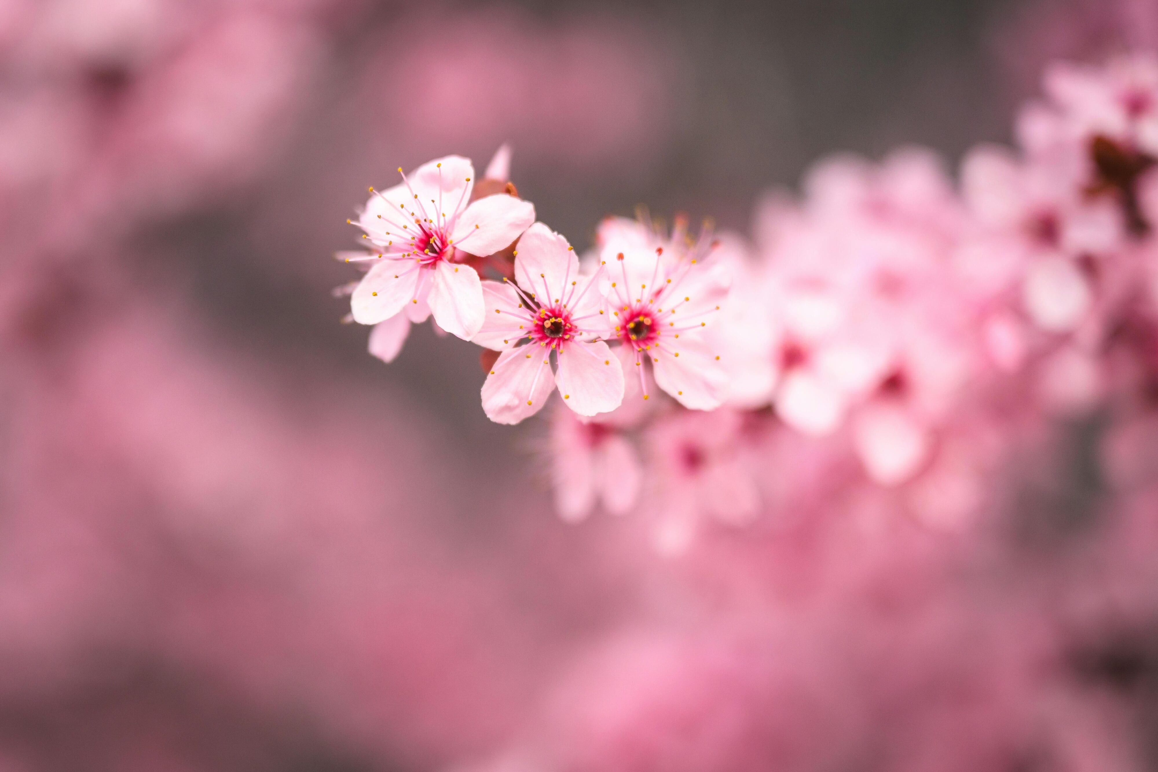 From Burnout to Balance: Recognizing the Signs and Reclaiming Your Time