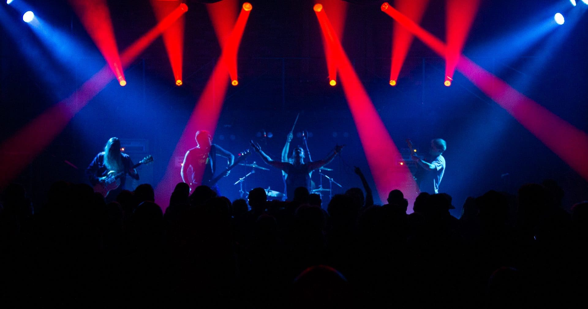 Pigs Pigs Pigs Pigs Pigs Pigs Pigs in Toronto