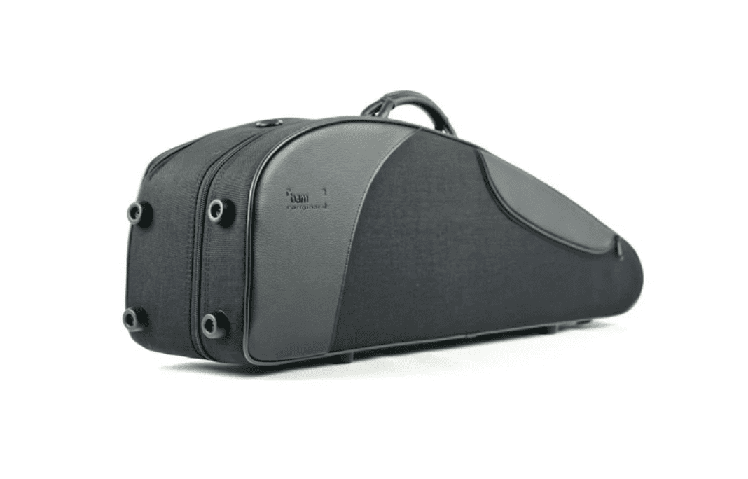 Unboxing a BAM Violin Case: What to Expect and How to Set It Up!