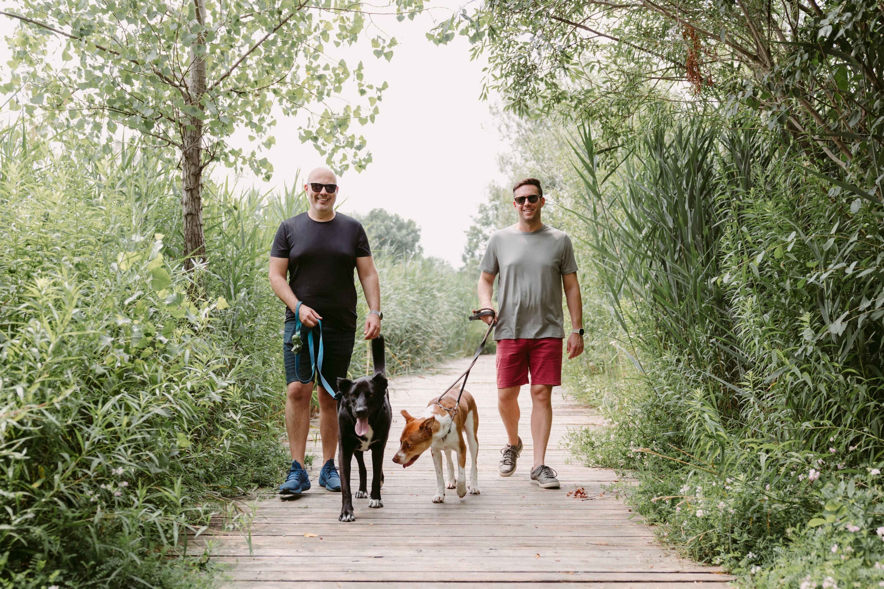 Finding Love — The Healing Power of Connection Mark Munroe and Beau Scott walking their dog Manny and foster Kiwi